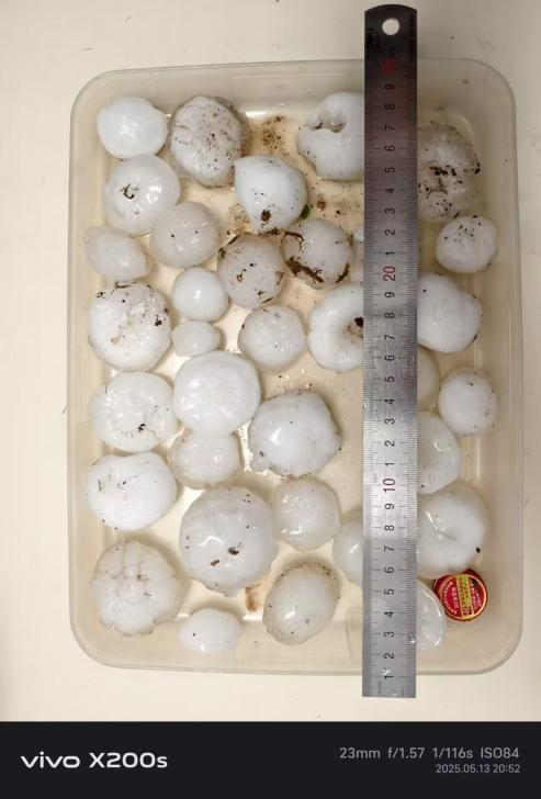 研究者が収集した雹のサンプル。