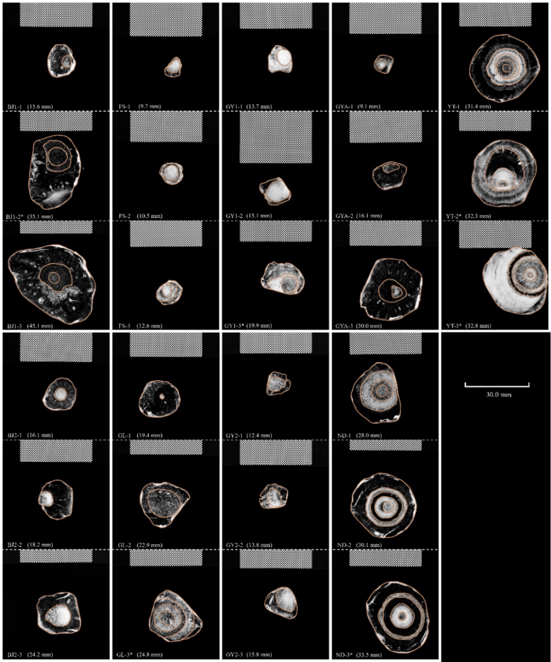 雹の內部に見られる透明と不透明が交互になっている成長層。