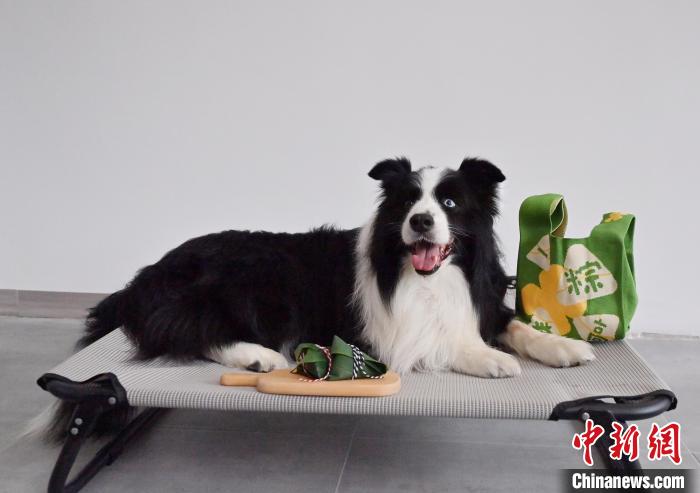 端午節(jié)にはペットにもちまきを！ペット用ちまきが人気に　吉林省