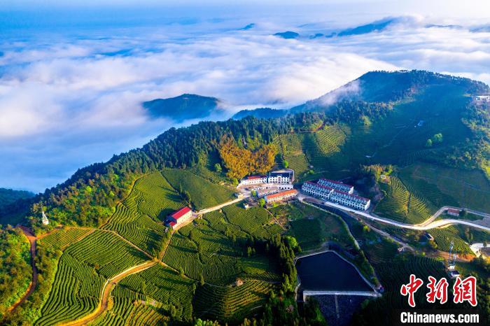 浙江省寧海県の自然の景色（資料寫真、撮影?尤才彬）。