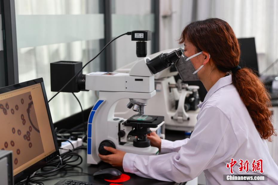 世界最大の炭素繊維生産基地を訪ねて　青海省