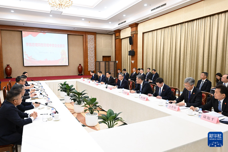 李強総理が在インドネシア中國系企業(yè)との座談會に出席