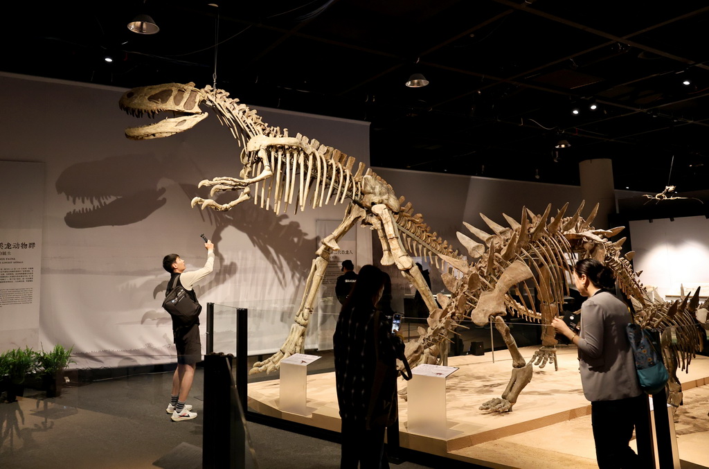 「中國恐竜大展」が上海で開幕