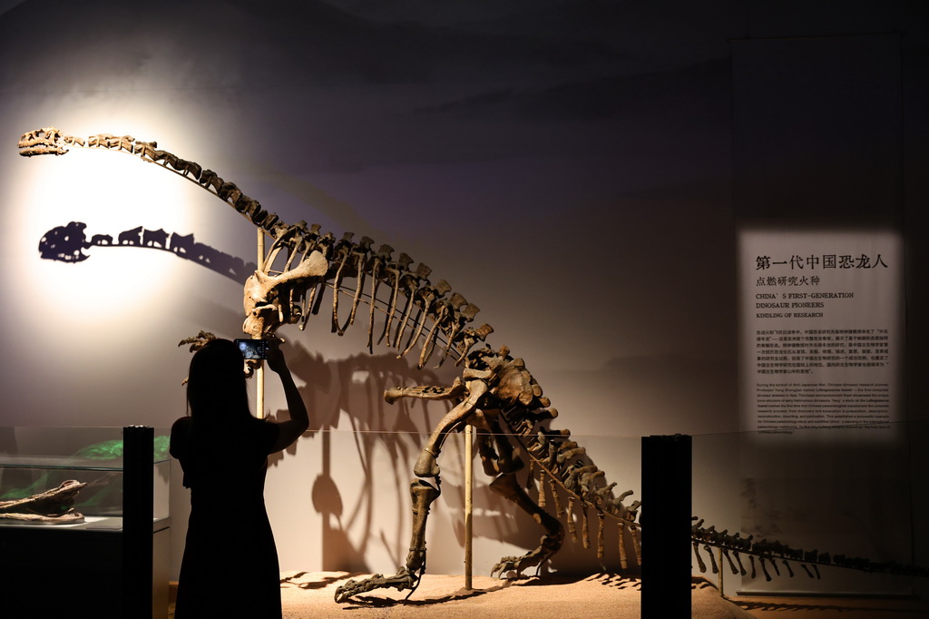 「中國(guó)恐竜大展」が上海で開(kāi)幕