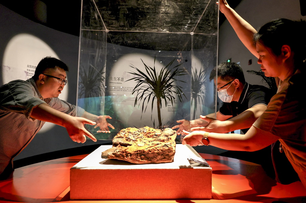 「中國恐竜大展」が上海で開幕