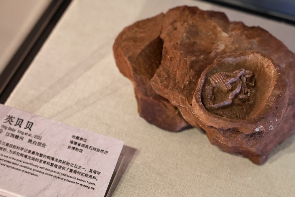 「中國恐竜大展」が上海で開幕