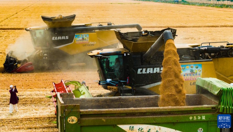 「三夏」の大規(guī)模な小麥の農(nóng)機(jī)による?yún)Х偉攻咯`ト