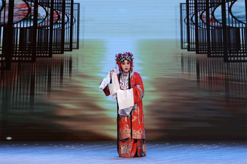 京劇のパフォーマンス（寫真提供?主催者）。