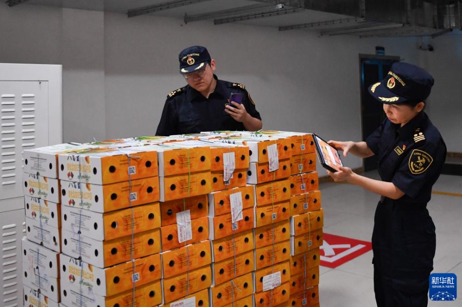 バングラデシュ産マンゴーが中國市場に初入荷