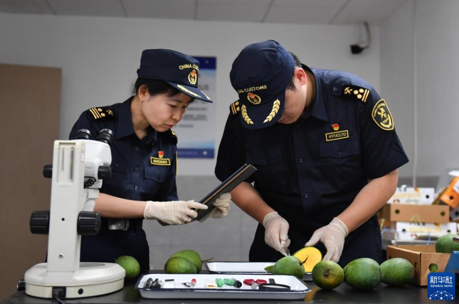 バングラデシュ産マンゴーが中國市場に初入荷