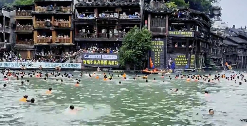 鳳凰古城で端午節(jié)に「アヒル爭奪バトル」　湖南省