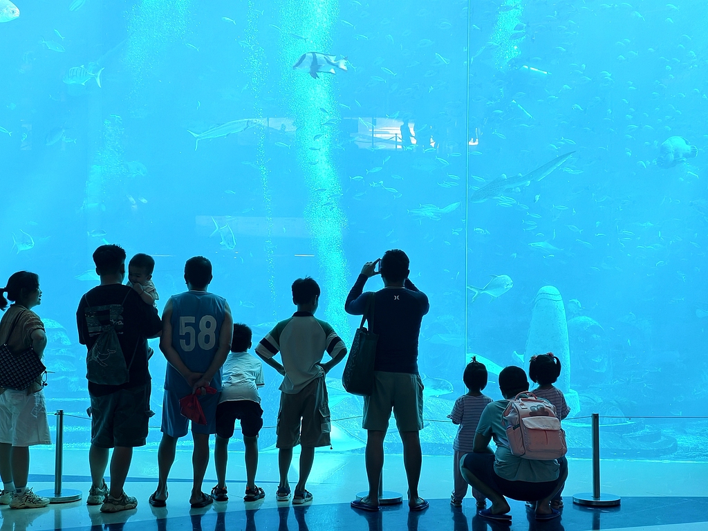 （畫像著作権はCFP視覚中國所有のため転載禁止）