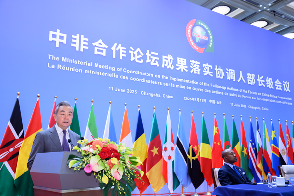 中國アフリカ協(xié)力の質(zhì)の高い発展について王毅氏が5つの提言