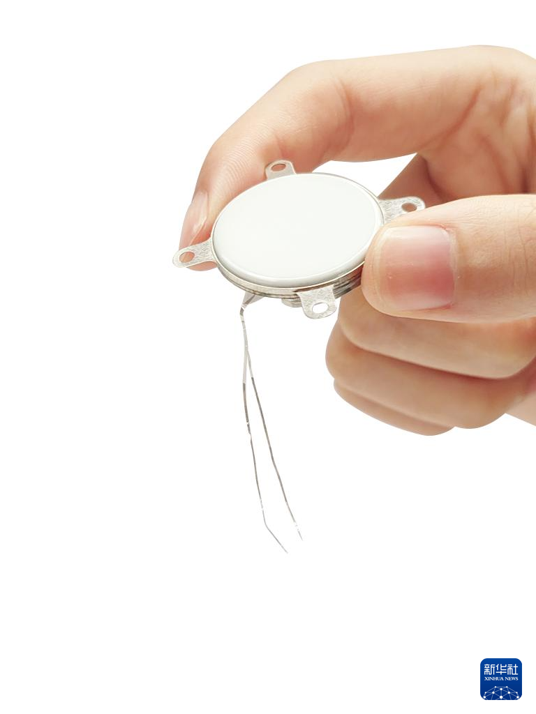 中國科學(xué)院脳科學(xué)?スマート技術(shù)卓越イノベーションセンターが研究開発した侵襲式BMIインプラント（3月22日撮影）。 撮影?陳垚旭