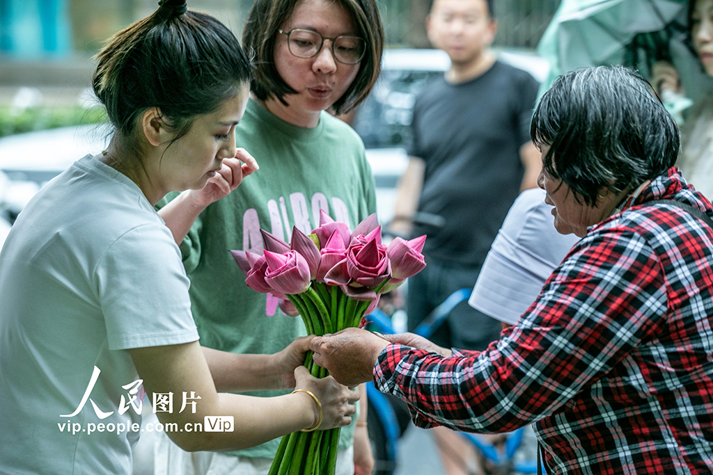 ハスの花を買い求める人々でにぎわう「ハス花市」　江蘇省蘇州