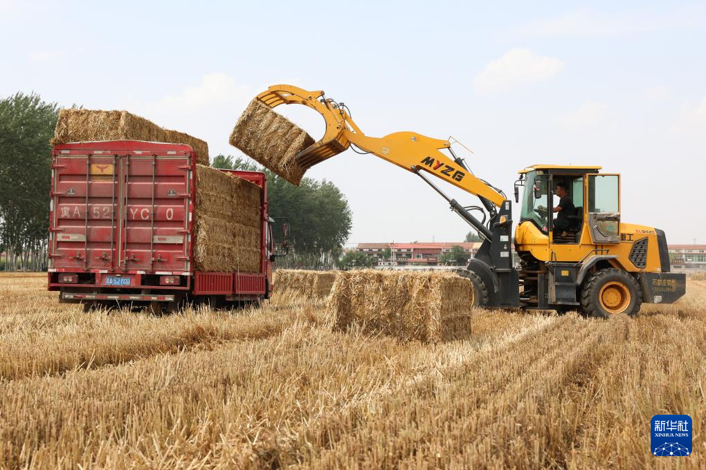 中國全土の農(nóng)機(jī)による小麥の大規(guī)模収穫がほぼ終了