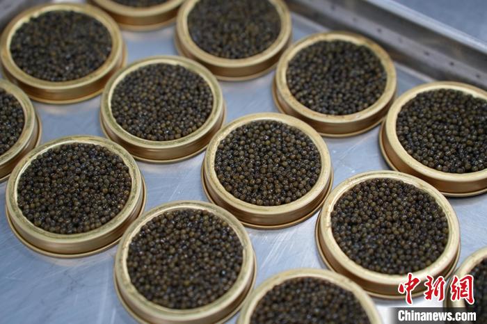 上瀘鎮(zhèn)で生産されたキャビア