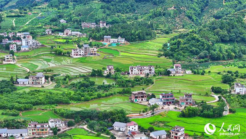 緑美しい棚田に広がる江西省贛州