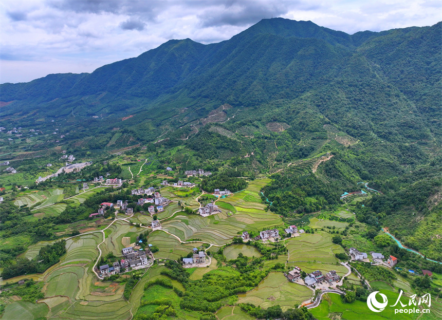 緑美しい棚田に広がる江西省贛州