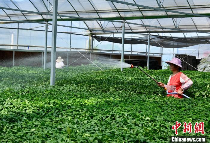 テクノロジーが農(nóng)業(yè)にもたらす付加価値　江西省南昌