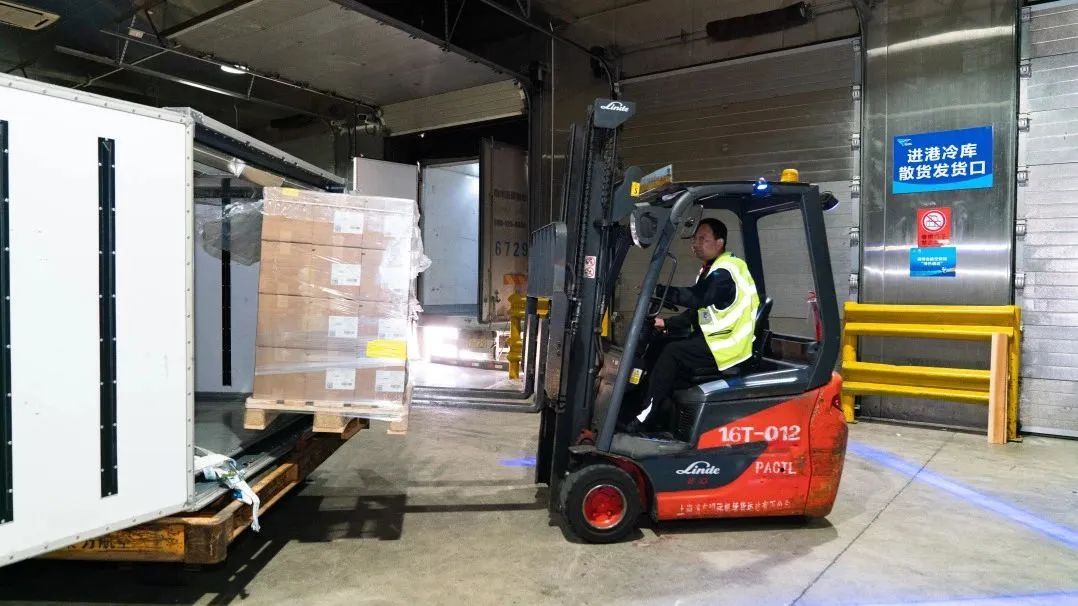 (畫像提供?上海機(jī)場集団)