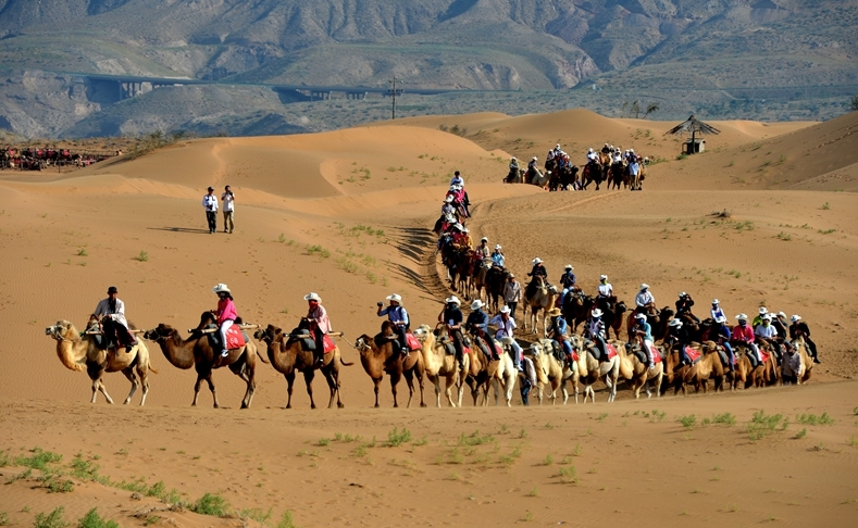 砂漠でラクダに乗る観光客ら（寫真提供?中衛(wèi)市観光?文化?體育?ラジオ?テレビ局）。