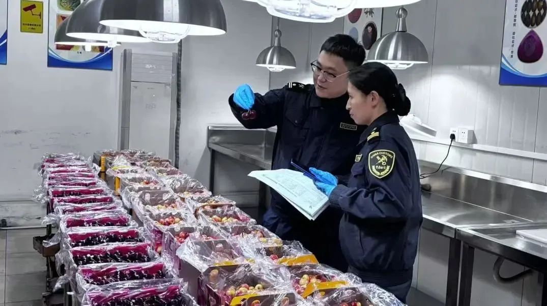 (畫像提供?上海機(jī)場集団)