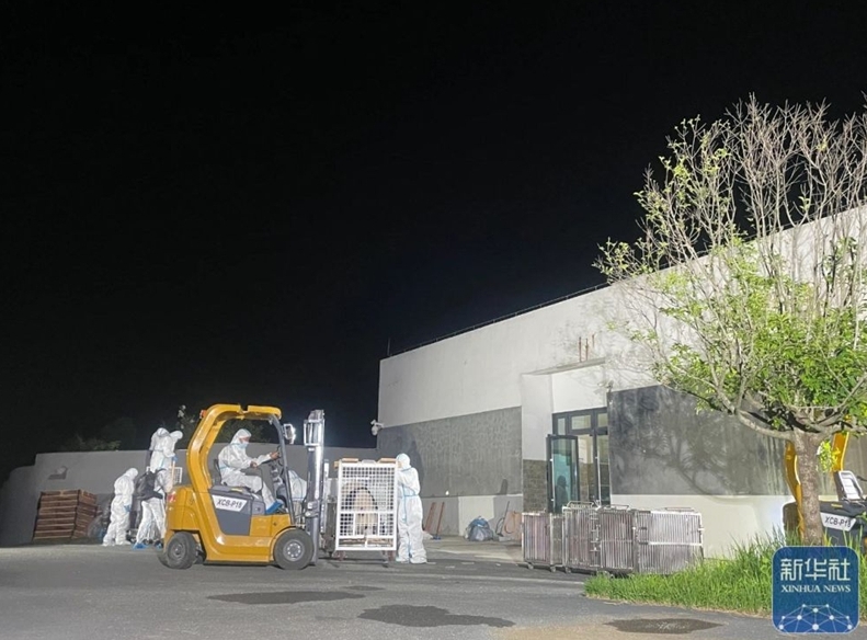 アドベンチャーワールドのパンダ4頭が中國に無事到著