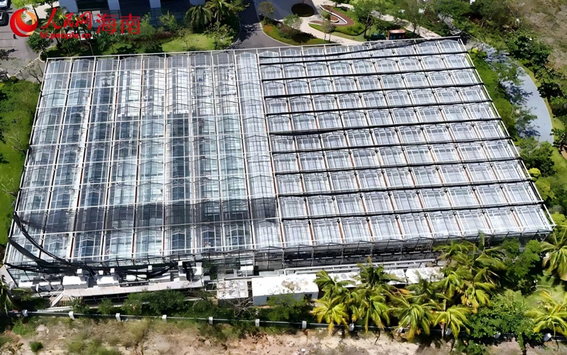 月亮島植物隔離苗畑の俯瞰寫真。撮影?符武平