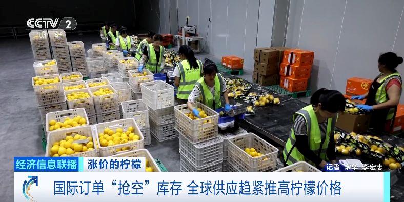海外注文で在庫(kù)が手薄に　四川安岳レモンの輸出量が激増