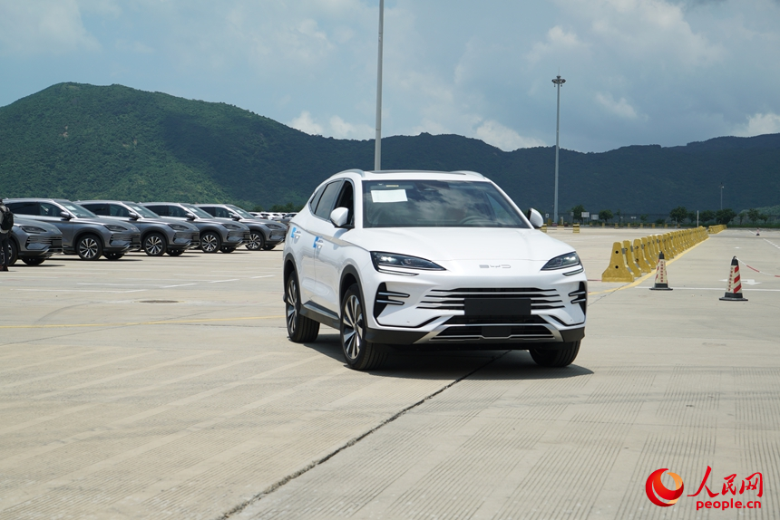 深汕協(xié)力區(qū)産の新エネ車(chē)1100臺(tái)超が船積みされ海外へ