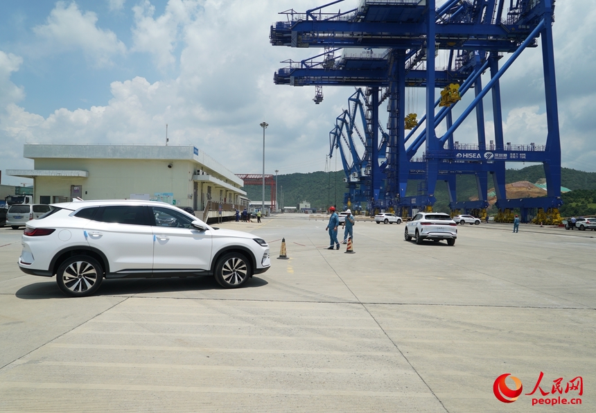 深汕協(xié)力區(qū)産の新エネ車1100臺超が船積みされ海外へ