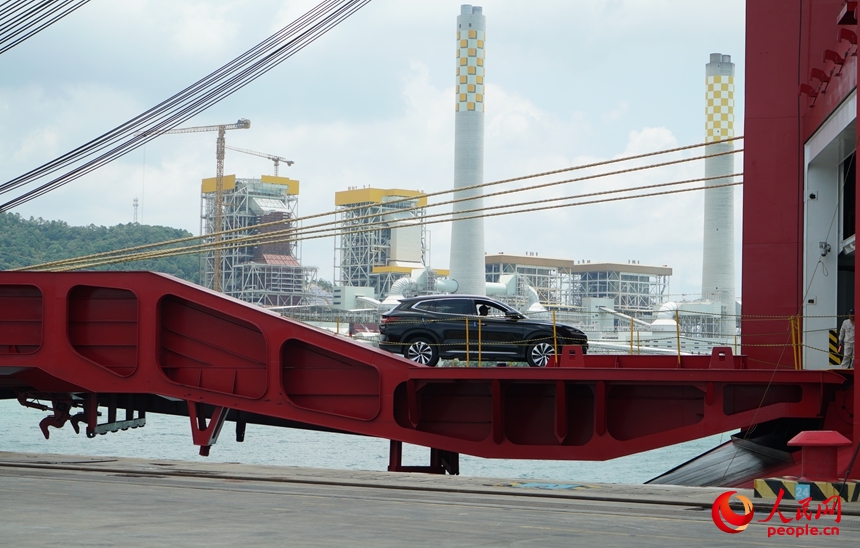 深汕協(xié)力區(qū)産の新エネ車1100臺(tái)超が船積みされ海外へ