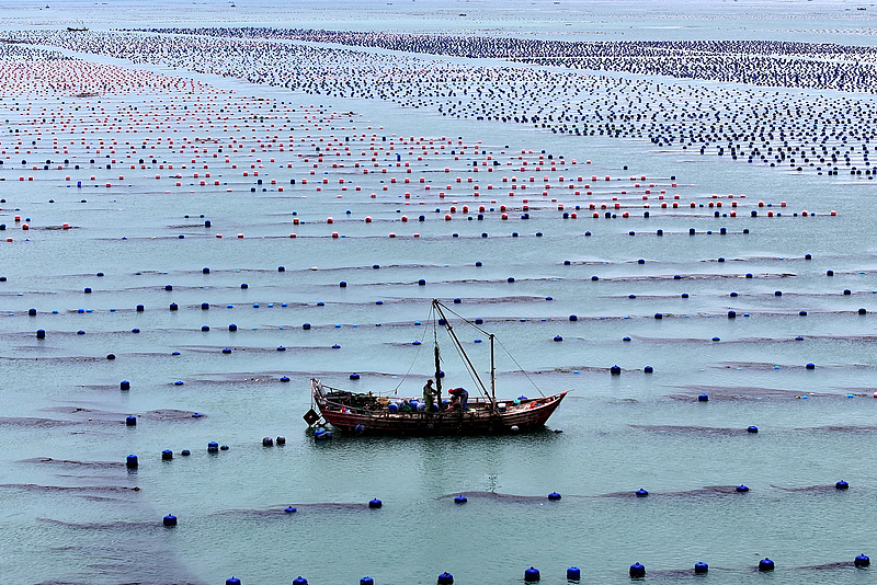 （畫像著作権はCFP視覚中國所有のため転載禁止） 