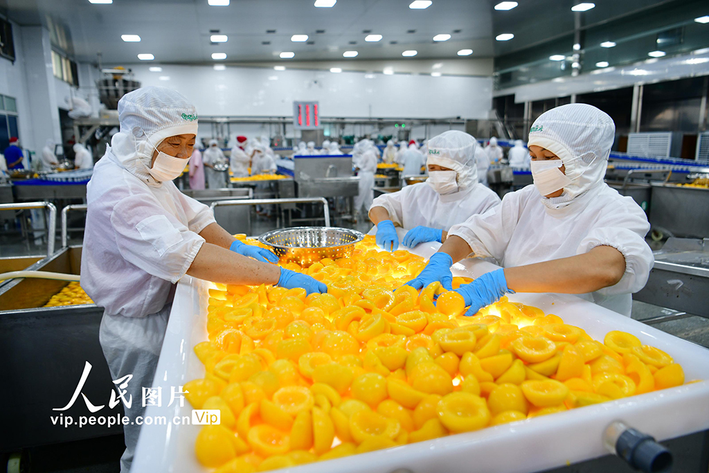 黃桃の加工品生産で農(nóng)家の収入増を後押し　湖北省秭帰