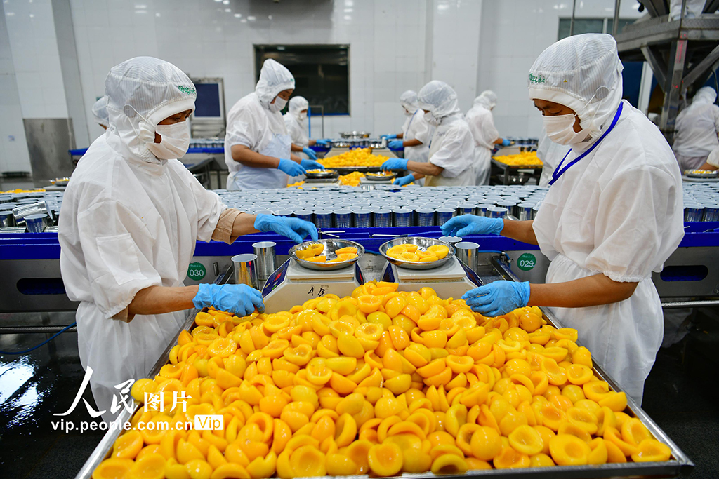 黃桃の加工品生産で農(nóng)家の収入増を後押し　湖北省秭帰