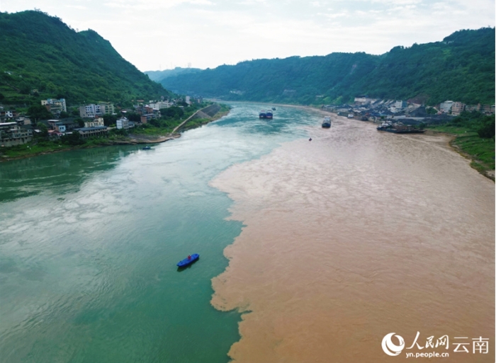 金沙江の澄んだ水と橫江の濁った水が鮮明なコントラストを見せながら流れる合流點。（撮影?程浩）