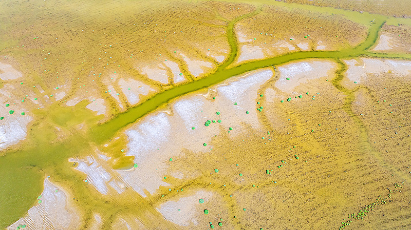 （寫真著作権はCFP視覚中國(guó)が所有のため転載禁止）