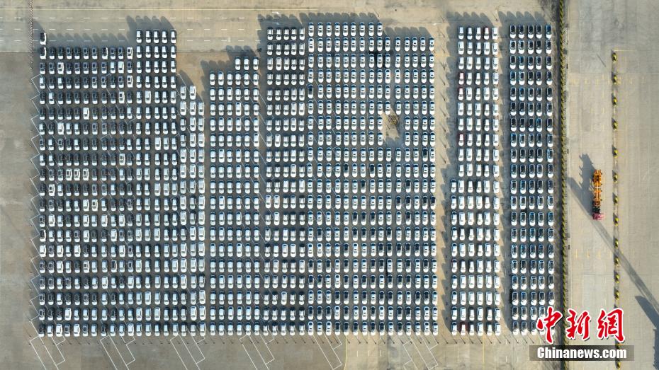 広西北部灣港、RORO航路が就航　中國(guó)車1千臺(tái)超が中東へ