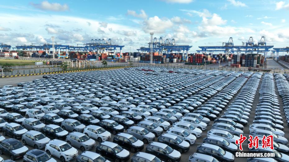 広西北部灣港、RORO航路が就航　中國(guó)車(chē)1千臺(tái)超が中東へ