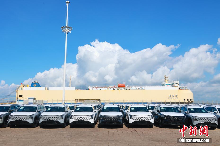 広西北部灣港、RORO航路が就航　中國車1千臺超が中東へ
