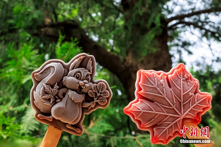 暑い夏にひんやり旅のお供！各地で文化クリエイティブアイスが大人気