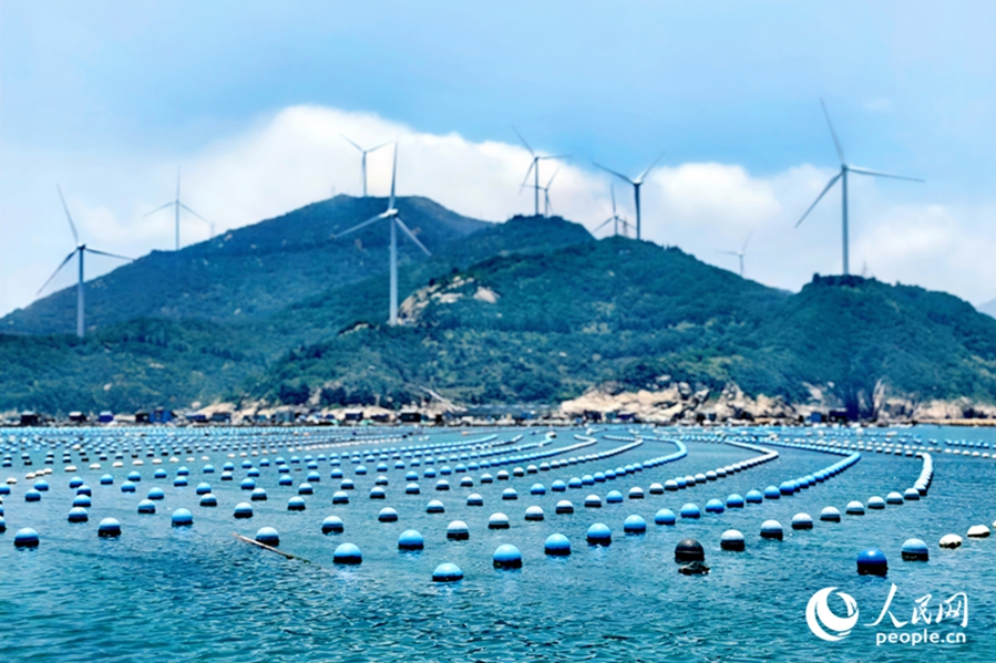 「海上牧場(chǎng)」でアワビ年間6萬(wàn)トン近くを生産　福建省連江県