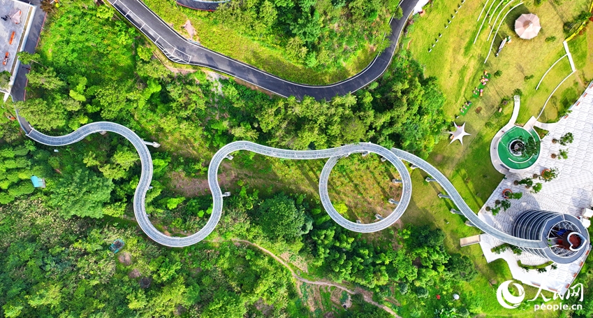 「森に浮かぶ遊歩道」　江西省崇義市