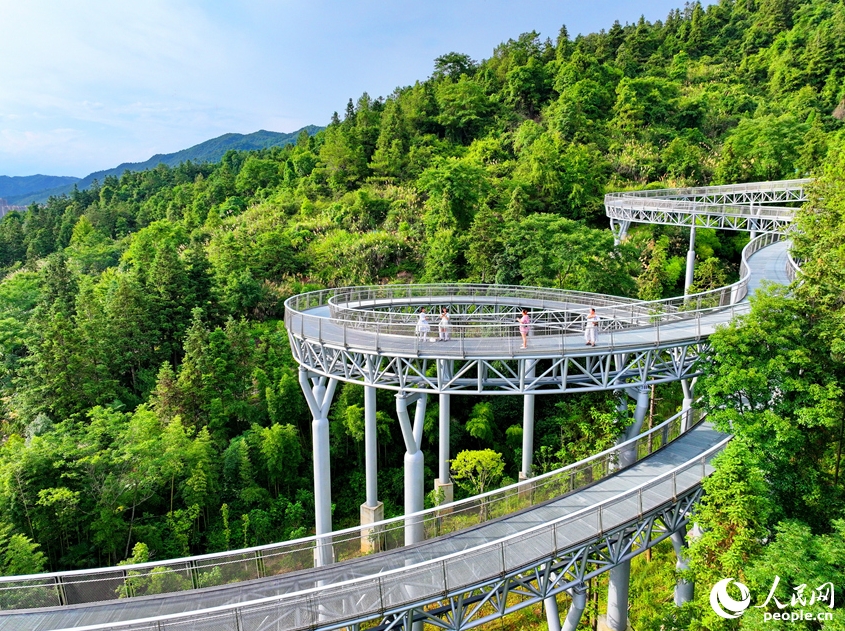「森に浮かぶ遊歩道」　江西省崇義市