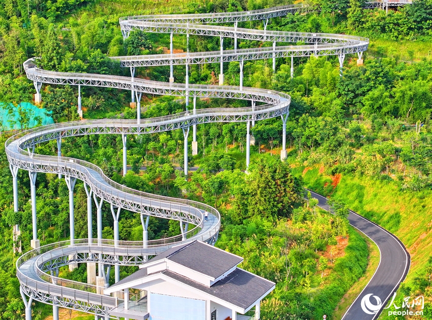 「森に浮かぶ遊歩道」　江西省崇義市