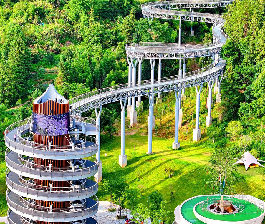 「森に浮かぶ遊歩道」　江西省崇義市