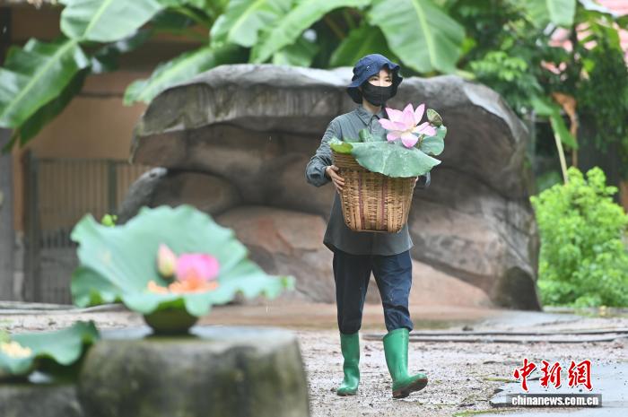 広州動(dòng)物園が動(dòng)物のために「暑さ対策メニュー」　広東省