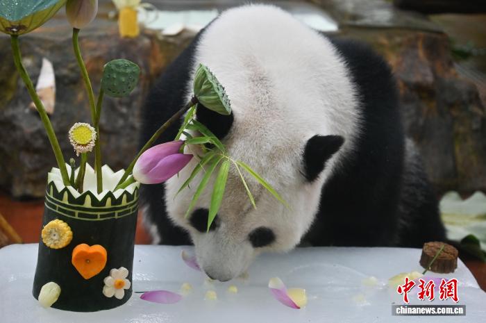 広州動物園が動物のために「暑さ対策メニュー」　広東省