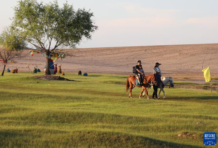 夏色に染まる草原　內(nèi)蒙古?赤峰市